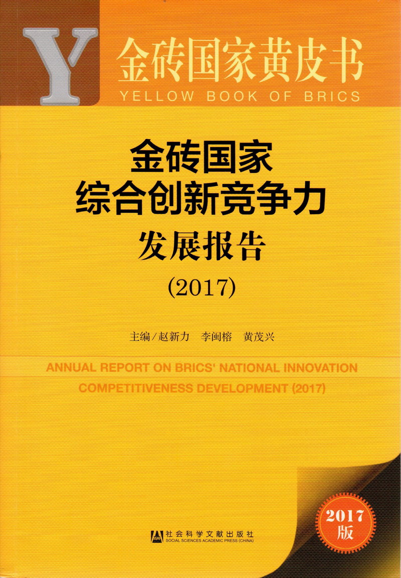 老淫湿视频在线金砖国家综合创新竞争力发展报告（2017）